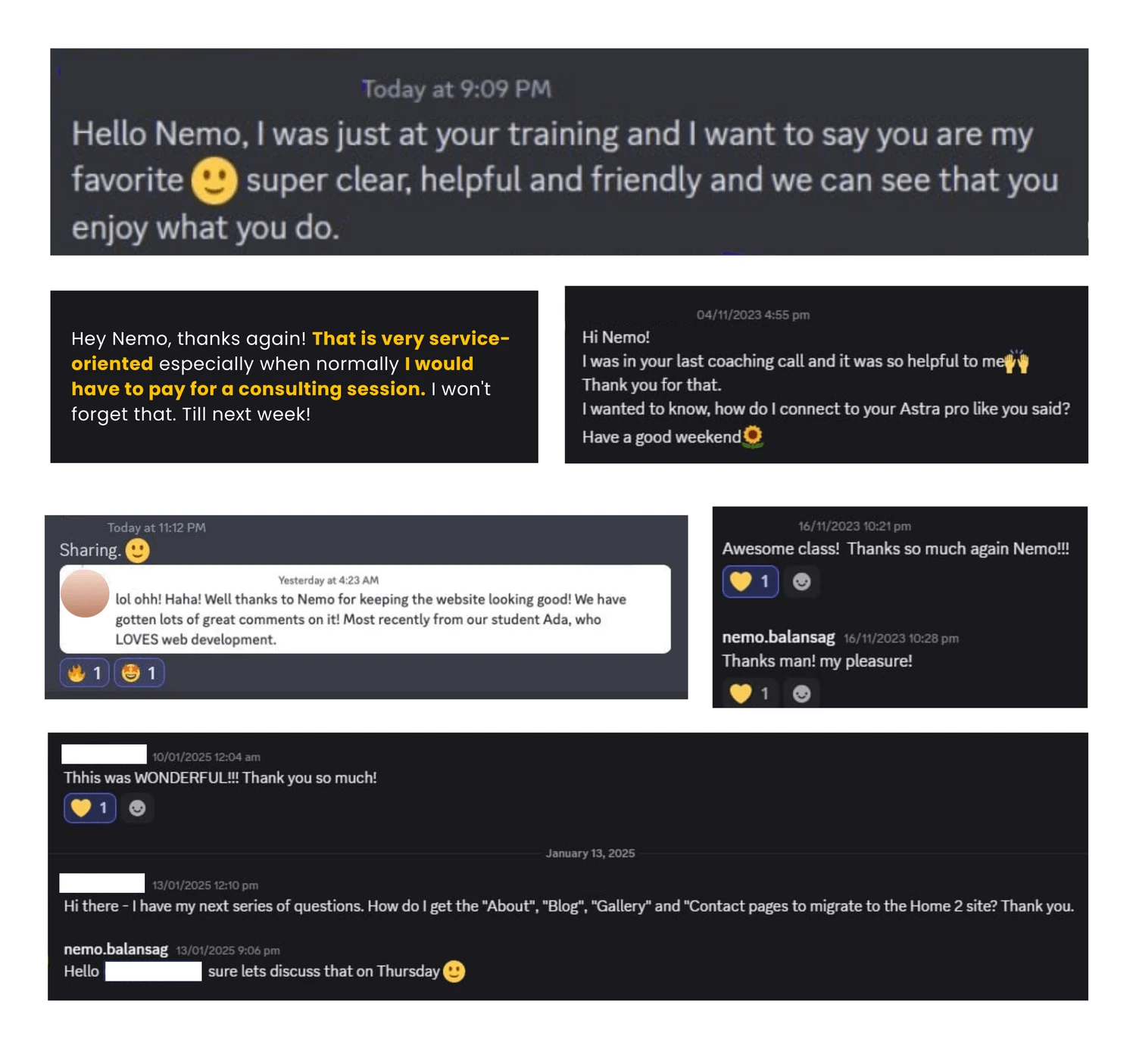 Original messages thanking Nemo for clear, helpful and friendly training and coaching